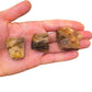 Full profile of Grade A Petrified Wood raw ready to ship from Beyond Bohemian