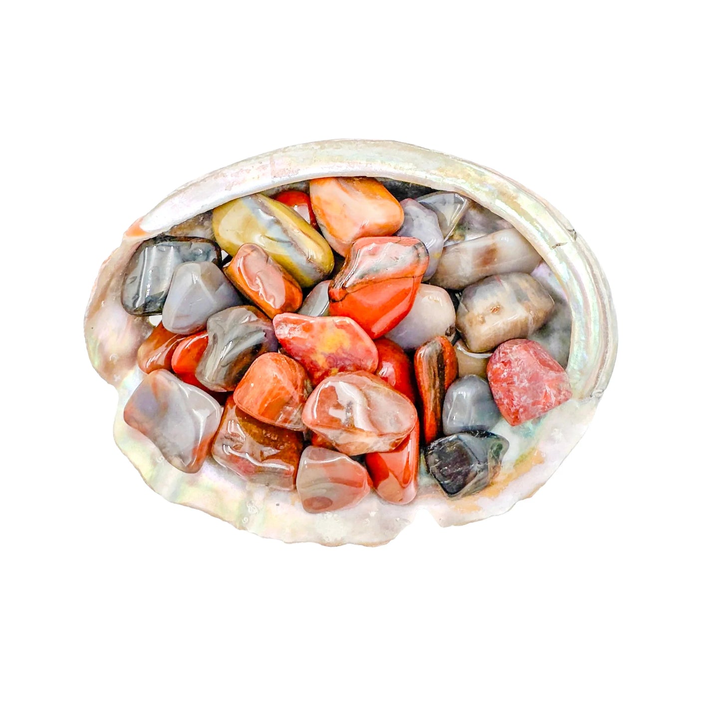 Near view of Petrified Wood tumbled stone, sourced from Mahajanga, Madagascar, often kept for Grounding.