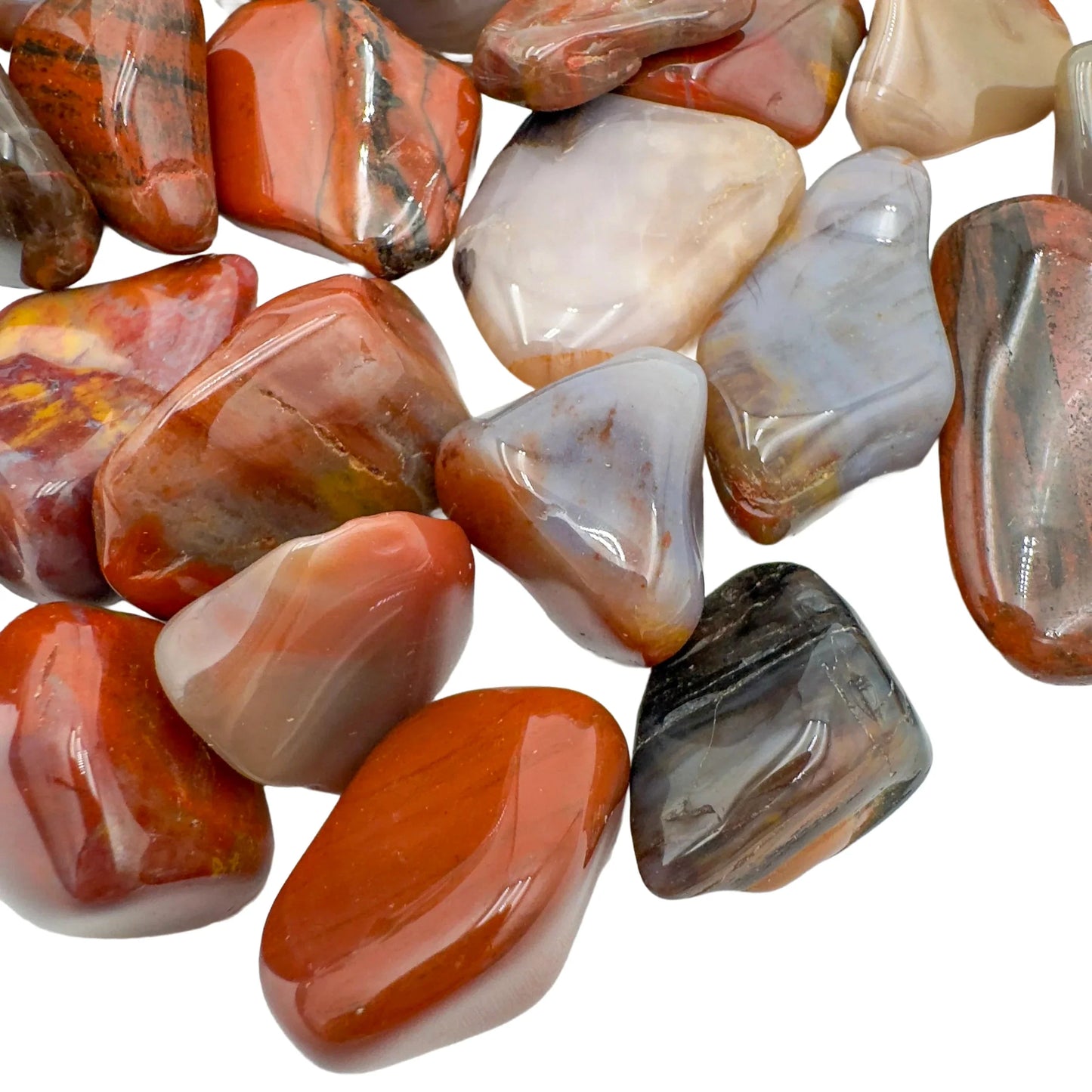 Edge-on view of Grade AA Petrified Wood tumbled stone, showing natural inclusions.