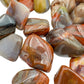 Top-down shot of Petrified Wood tumbled stone, showing natural variation, hand-selected from Mahajanga, Madagascar.