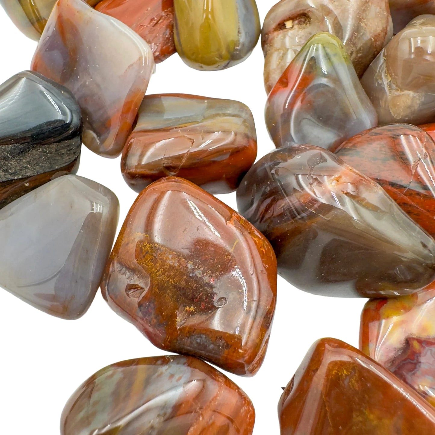 Top-down shot of Petrified Wood tumbled stone, showing natural variation, hand-selected from Mahajanga, Madagascar.