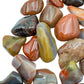 Reverse angle of Petrified Wood tumbled stone, showing natural sheen.