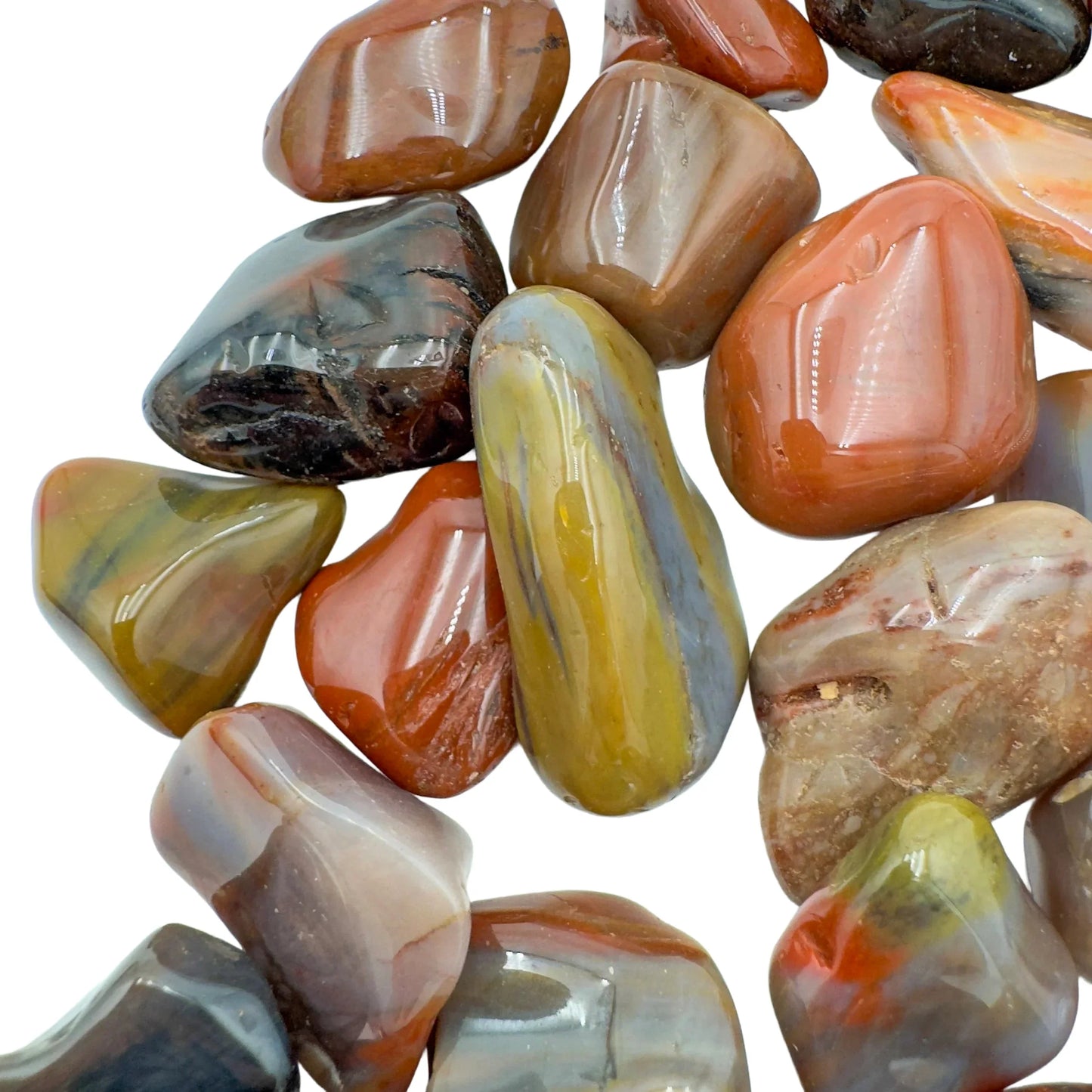 Reverse angle of Petrified Wood tumbled stone, showing natural sheen.