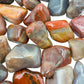 Daylight view of one Petrified Wood tumbled stone for scale, sourced from Mahajanga, Madagascar.