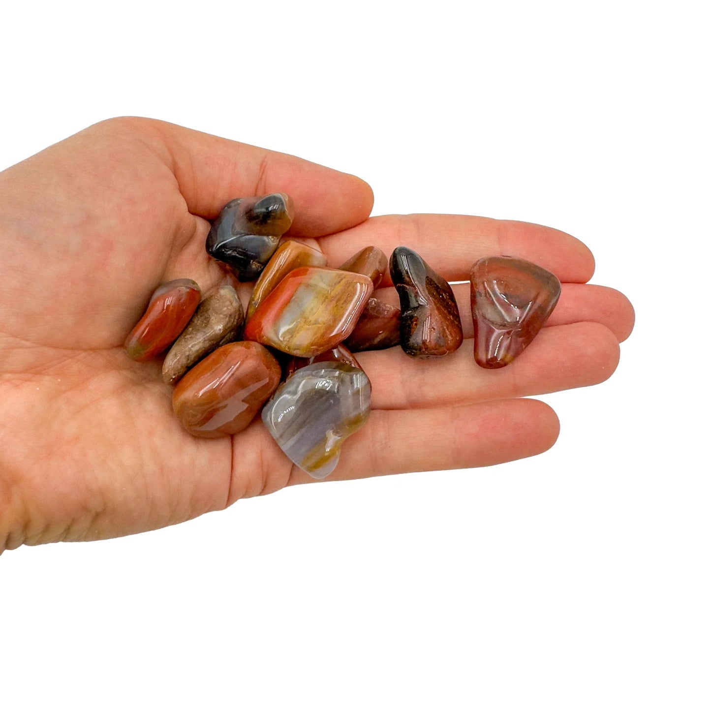 Back view of Grade AA Petrified Wood tumbled stone showing natural surface