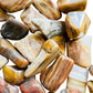 Close detail of Petrified Wood tumbled stone, showing translucent edges, sourced from Boeny, Madagascar.