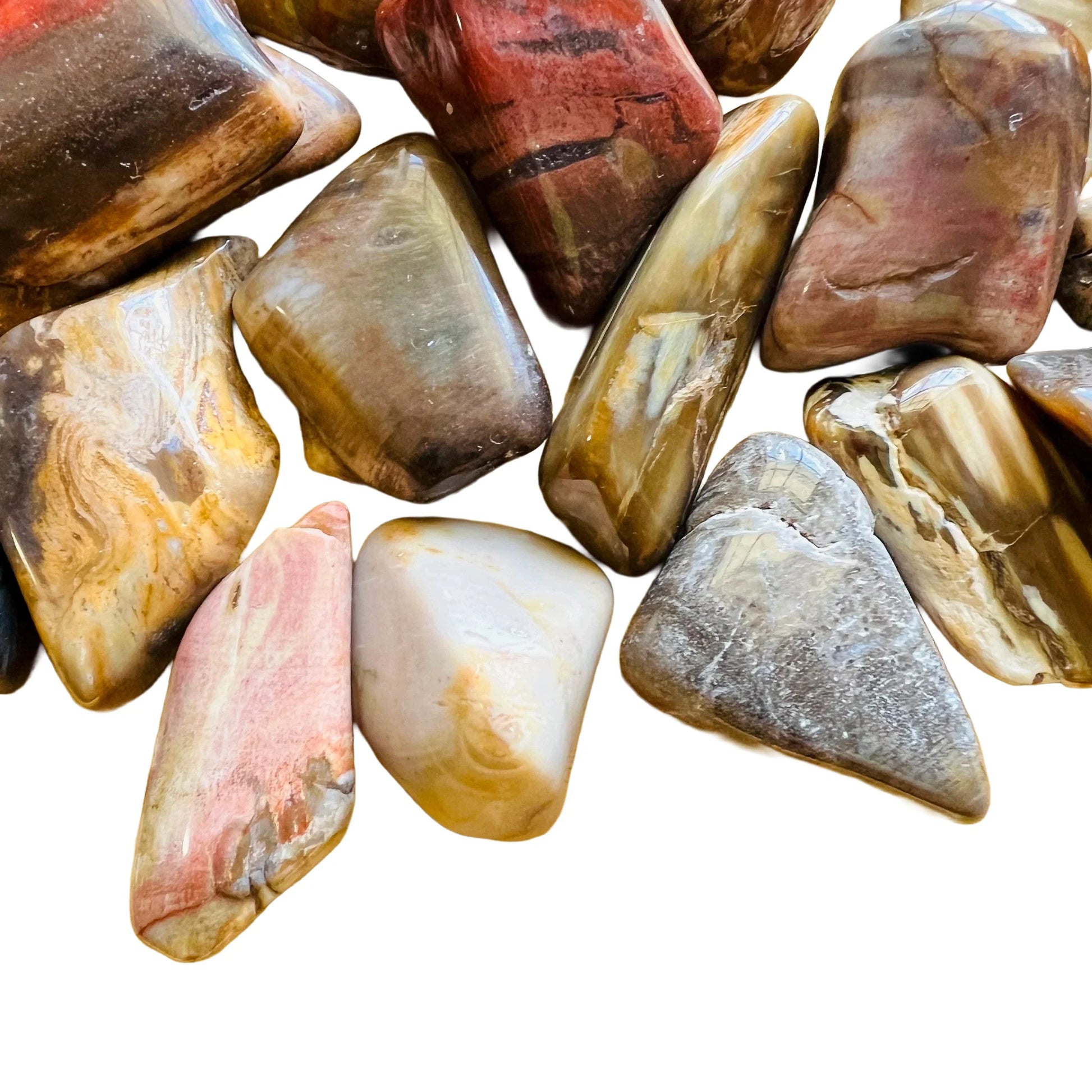 Side-on view of Petrified Wood tumbled stone, hand-selected from Boeny, Madagascar, drawn on for Grounding and Protection.