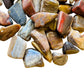 Plan view of Petrified Wood tumbled stone, turned to for Grounding, Madagascar-sourced.