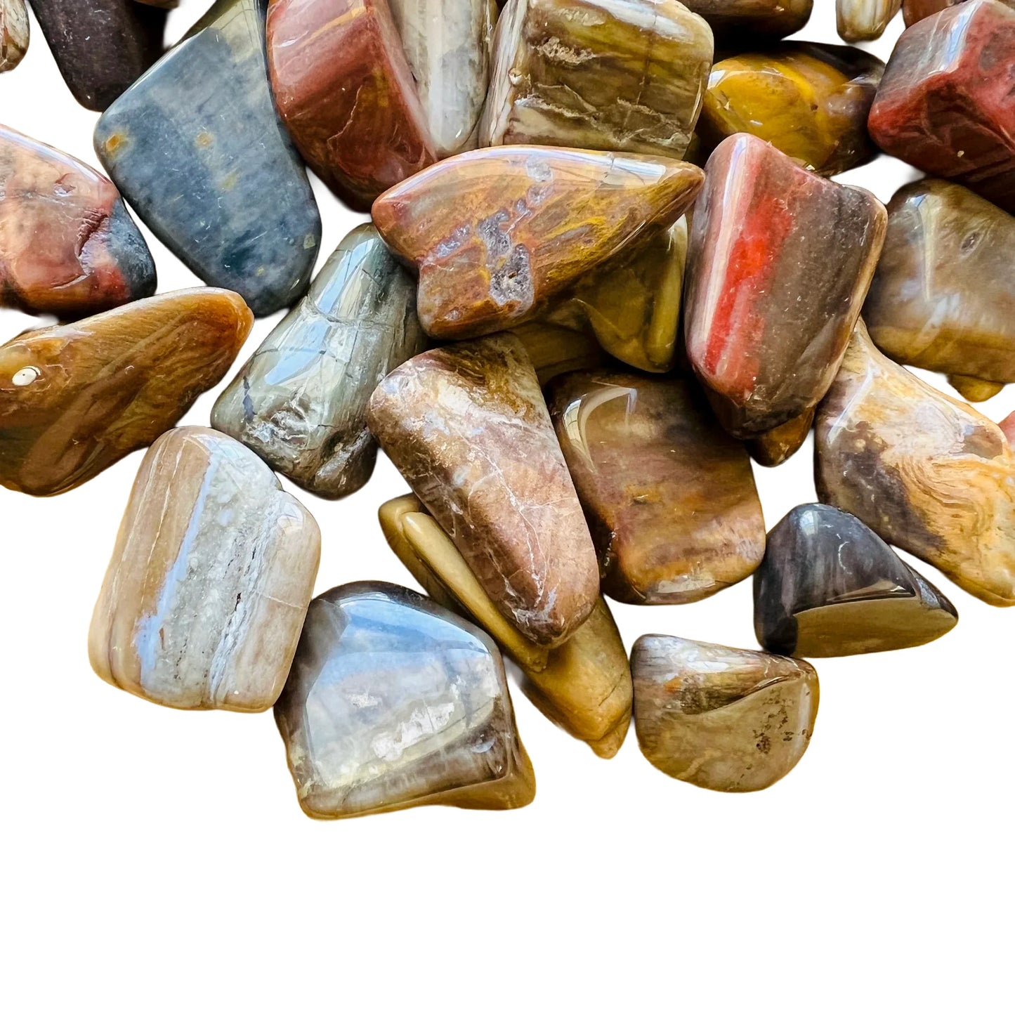 Plan view of Petrified Wood tumbled stone, turned to for Grounding, Madagascar-sourced.