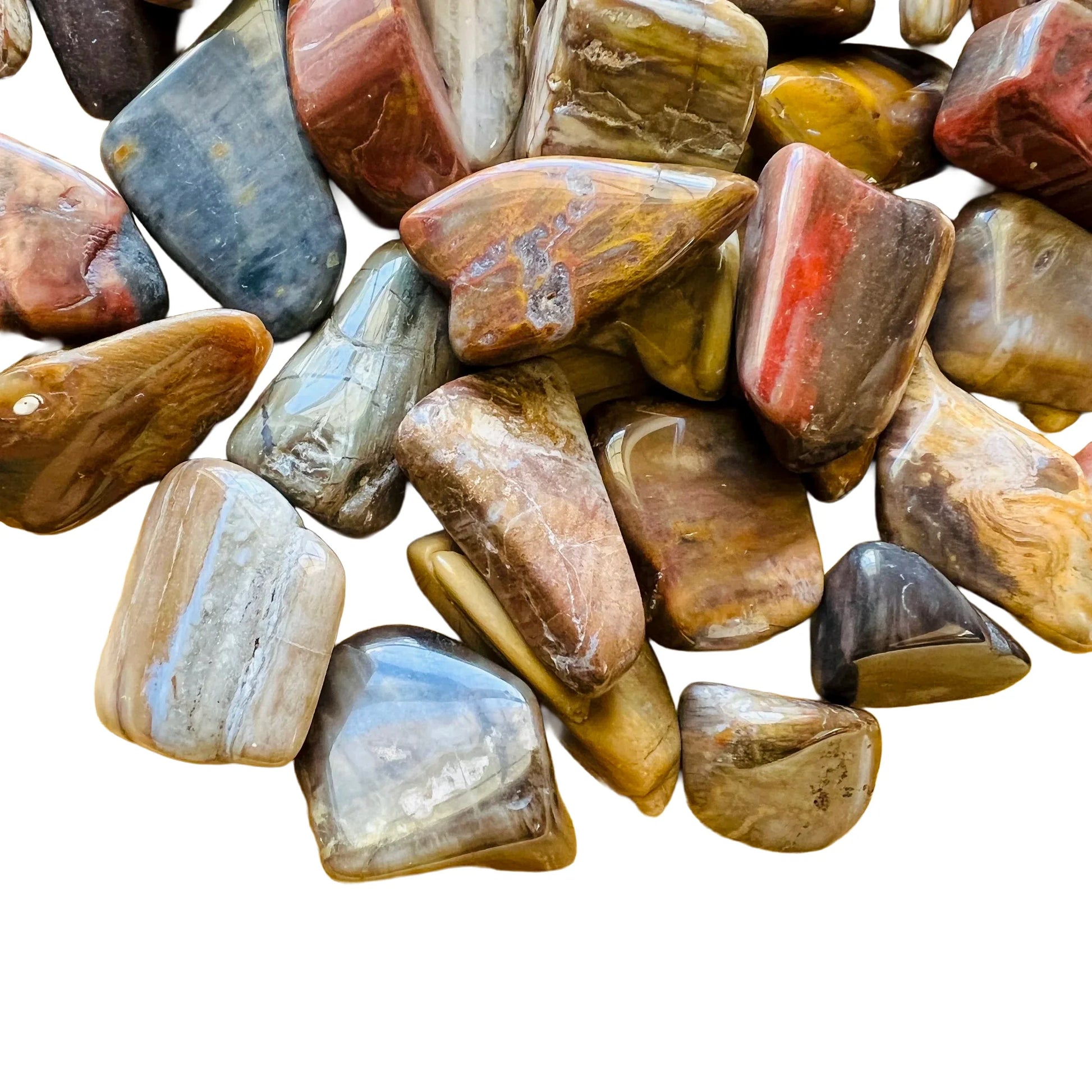 Plan view of Petrified Wood tumbled stone, turned to for Grounding, Madagascar-sourced.
