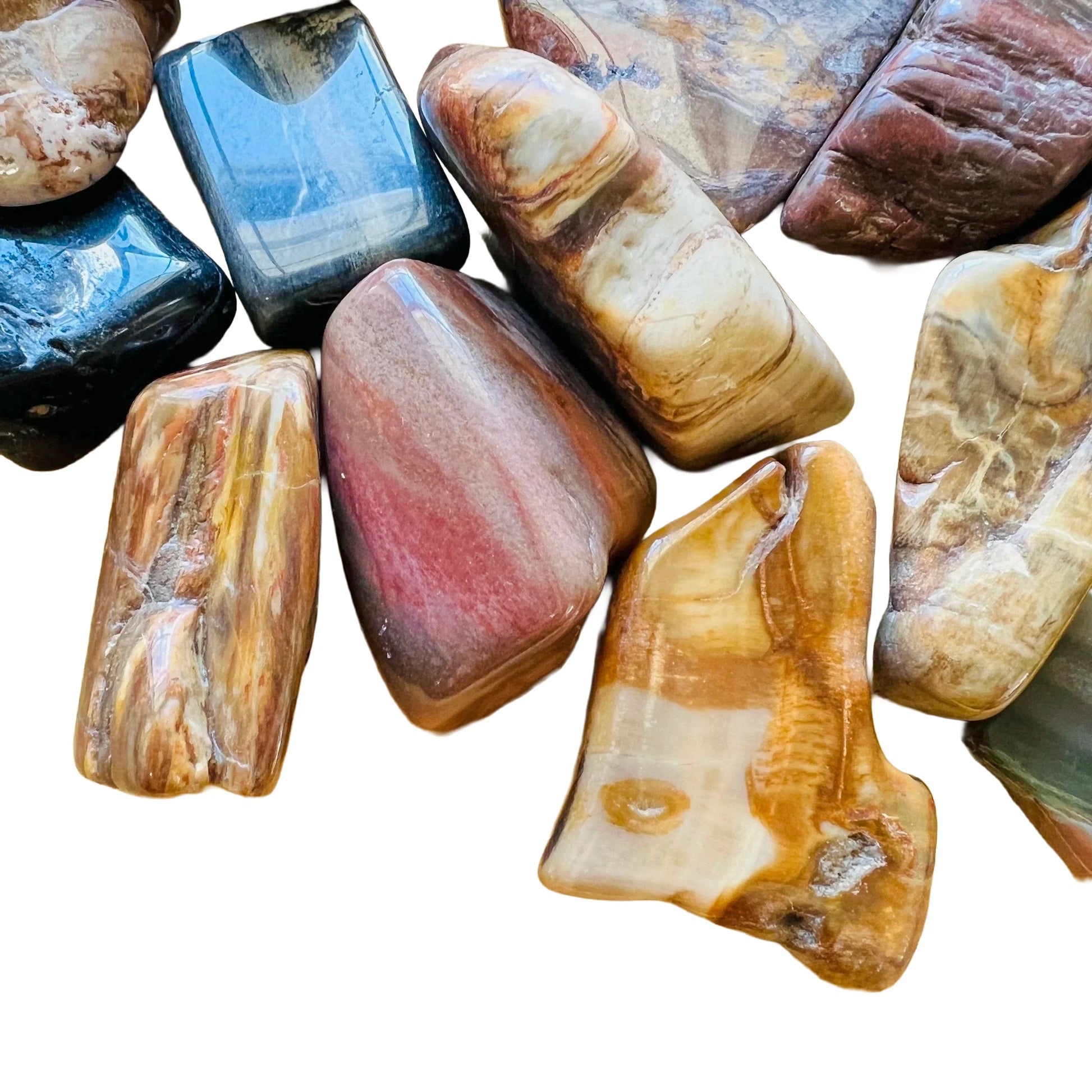 Near view of Petrified Wood tumbled stone, showing characteristic patterning.