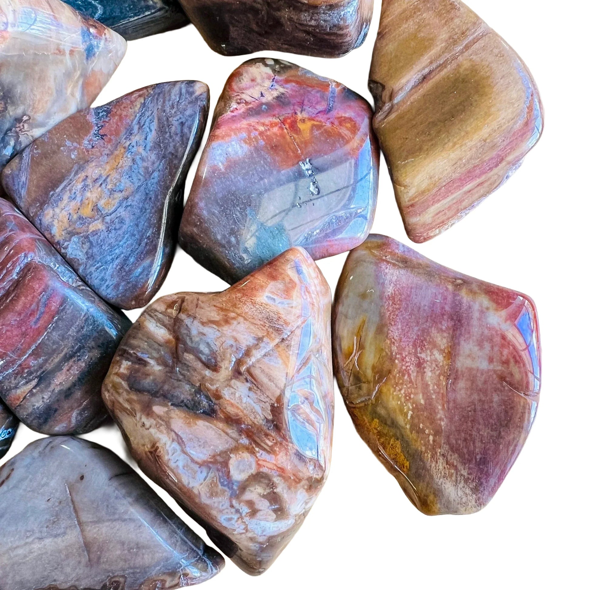 Overhead view of Petrified Wood tumbled stone, showing soft luster, from Boeny, Madagascar.
