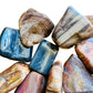 Rear view of Petrified Wood tumbled stone, showing characteristic color.