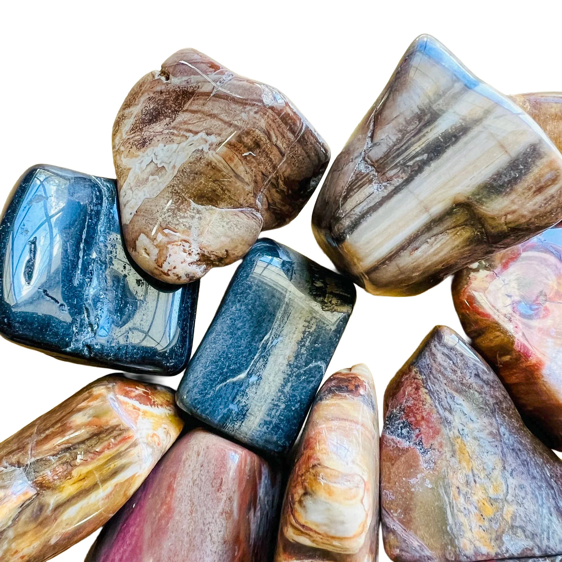 Rear view of Petrified Wood tumbled stone, showing characteristic color.
