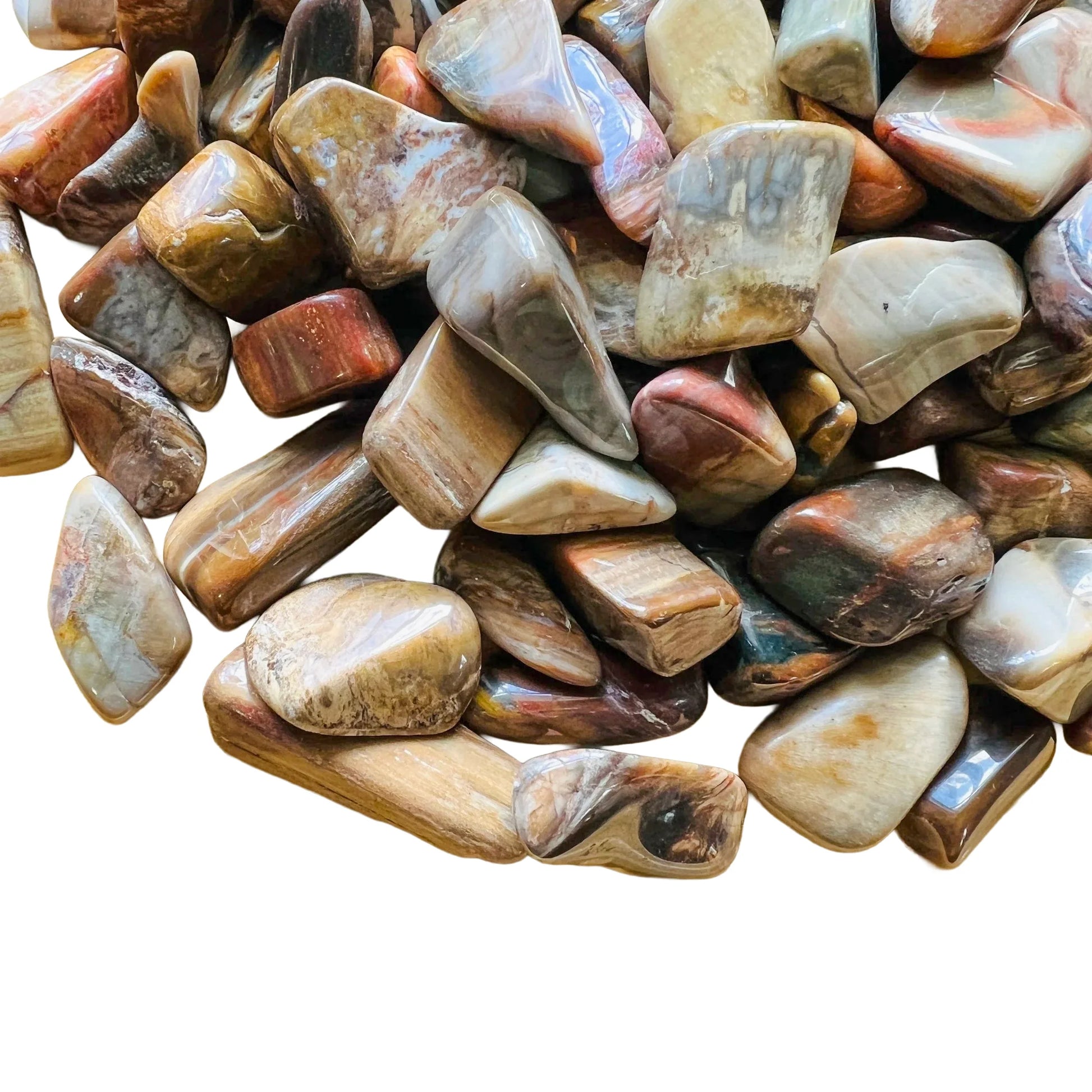 Alternate side of Petrified Wood tumbled stone, carried for Grounding.
