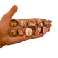 Detail shot of Grade A Rhodochrosite tumbled stone under natural light