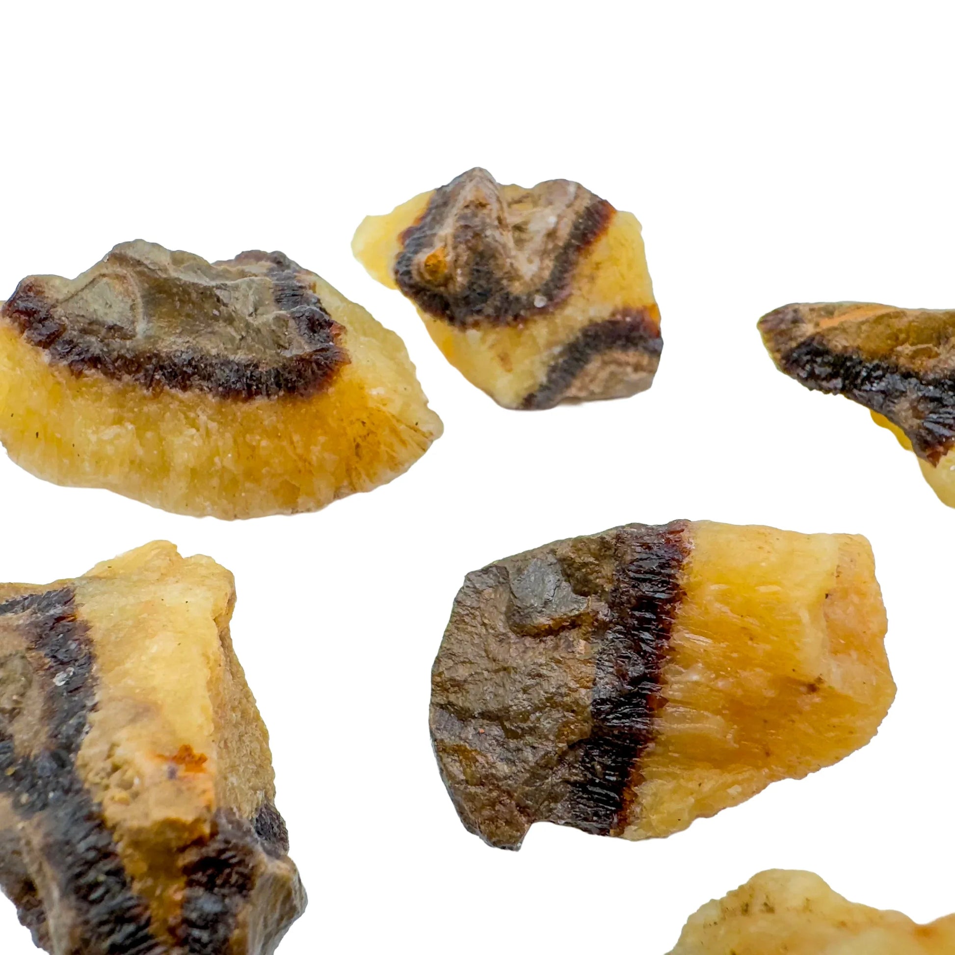 Plan view of Septarian raw stone, Madagascar-sourced, for Grounding and Confidence.