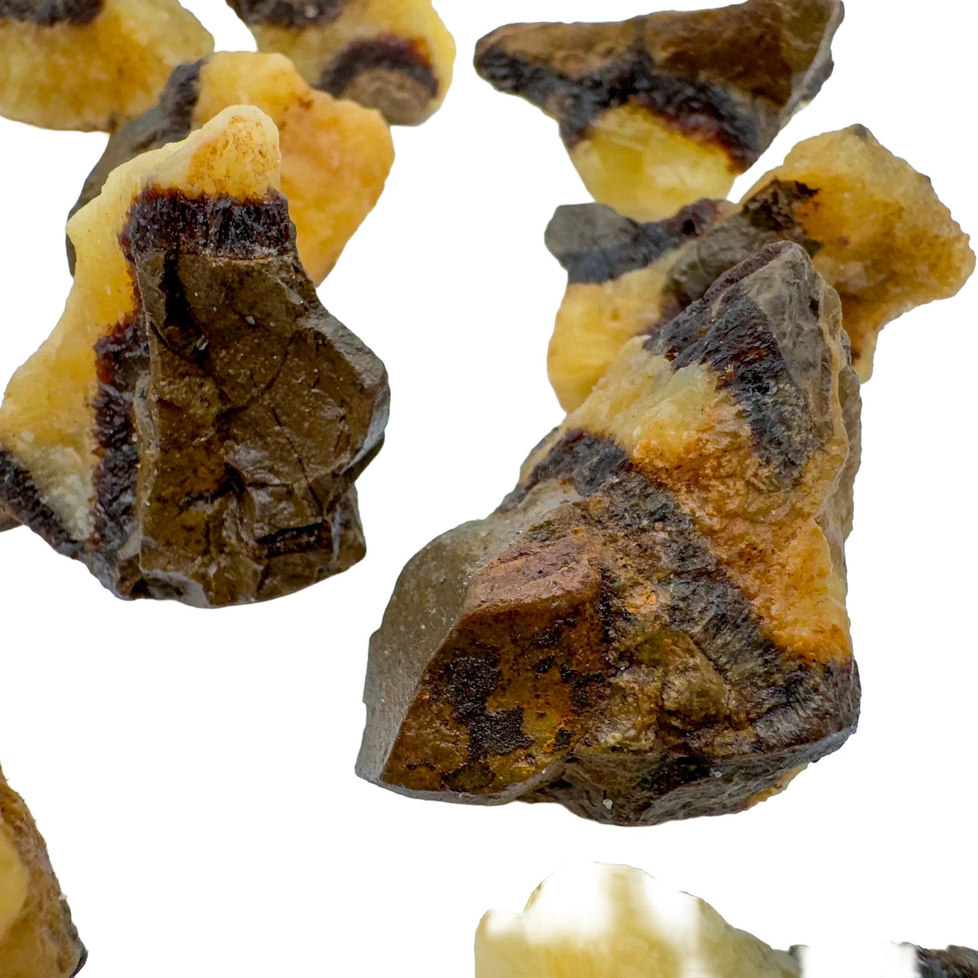Rear view of Septarian raw stone, showing raw matrix.