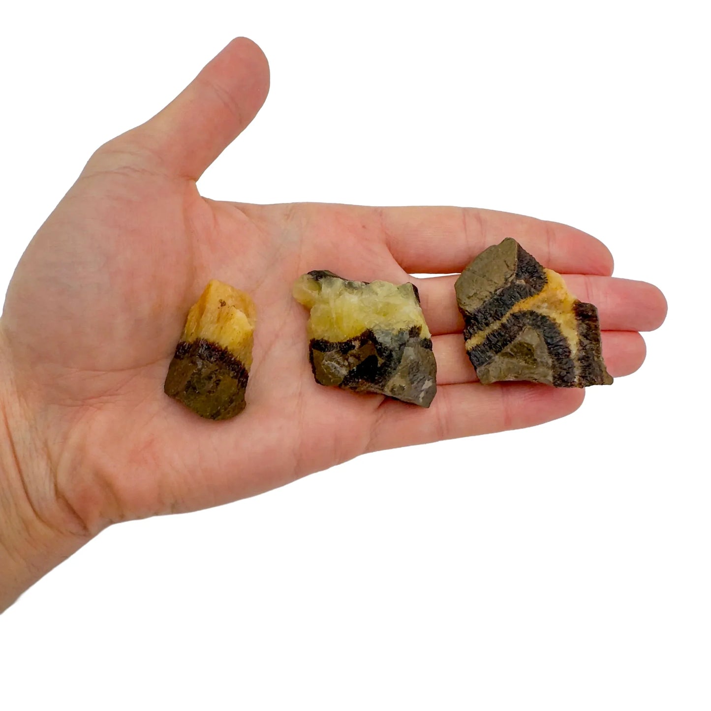 Considered view of Septarian raw crystal, from Mahajanga, Madagascar, showing the full body of the piece.