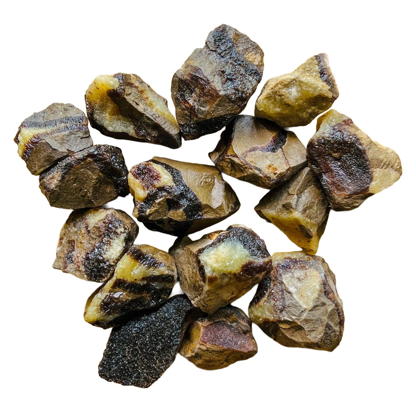 Full profile of Grade AA Septarian raw ready to ship from Beyond Bohemian