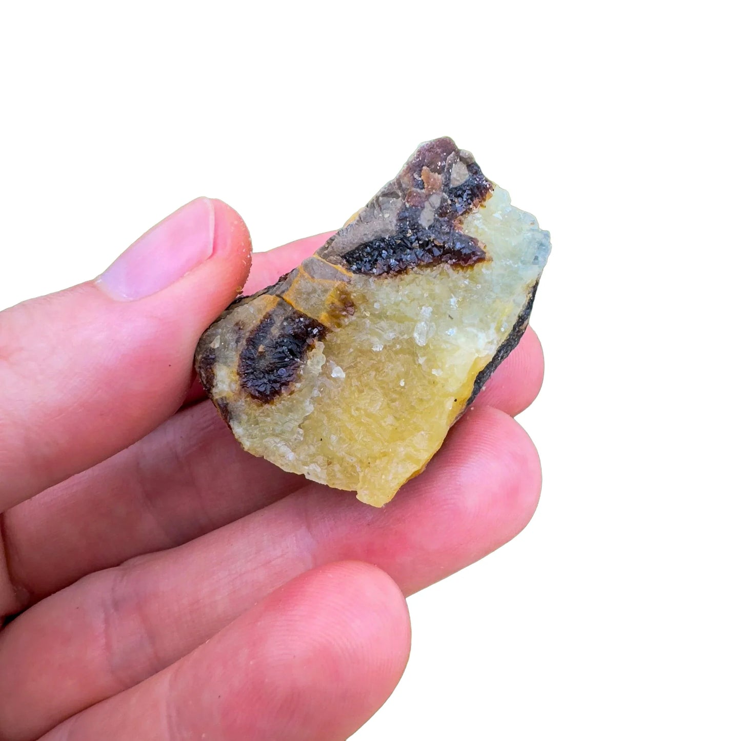 Full profile of Grade AA Septarian raw ready to ship from Beyond Bohemian