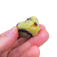 Full profile of Grade AA Septarian raw ready to ship from Beyond Bohemian