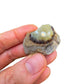 Full profile of Grade AA Septarian raw ready to ship from Beyond Bohemian