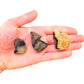 Full profile of Grade AA Septarian raw ready to ship from Beyond Bohemian