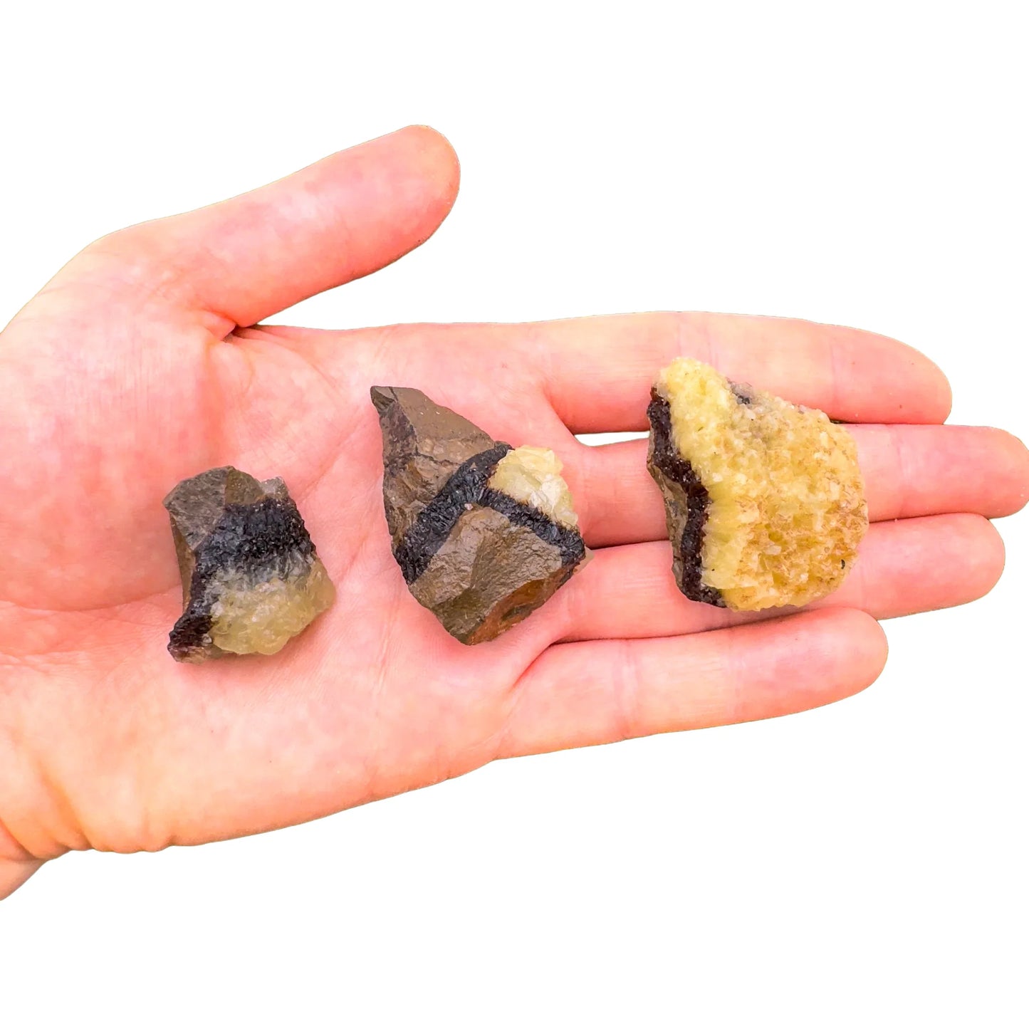 Full profile of Grade AA Septarian raw ready to ship from Beyond Bohemian