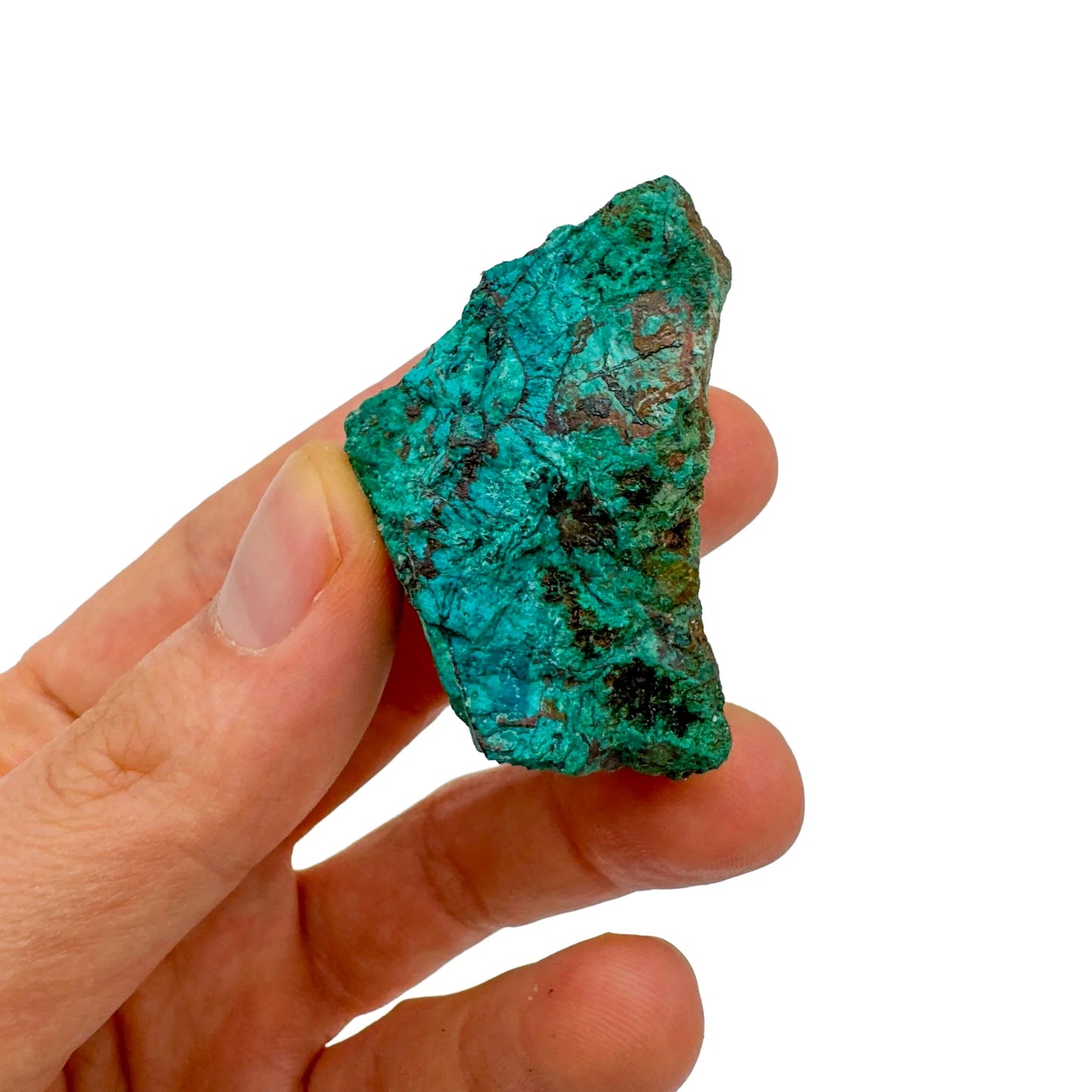 Held in hand, a single Chrysocolla raw stone sourced from Kunene, Namibia.