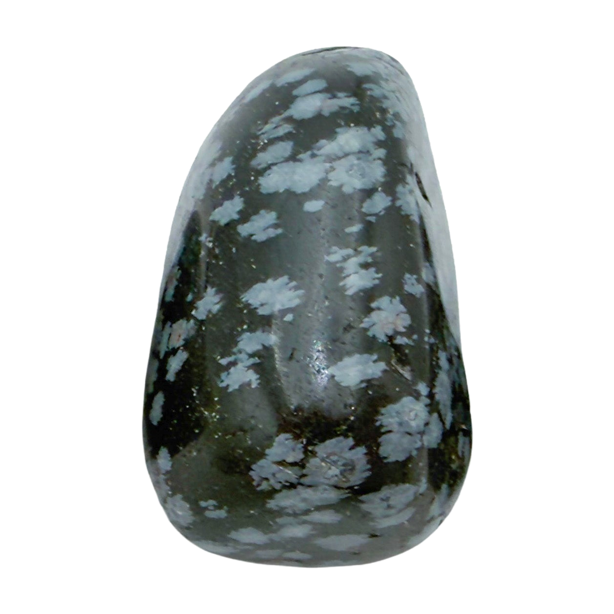 Snowflake Obsidian Tumbled Stones, AA Grade, Utah: one representative stone on a white background
