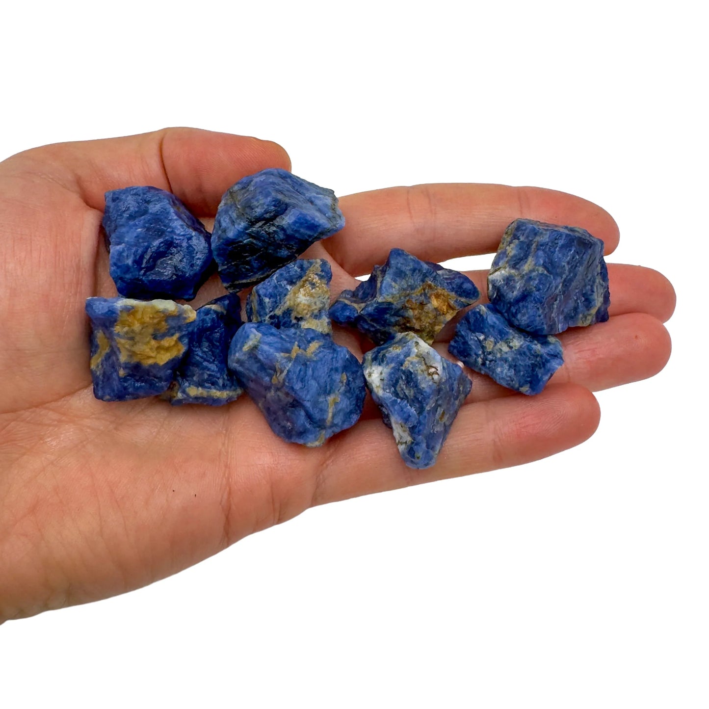 Hand holding small sodalite raw stones 5-10 grams Brazil scale reference