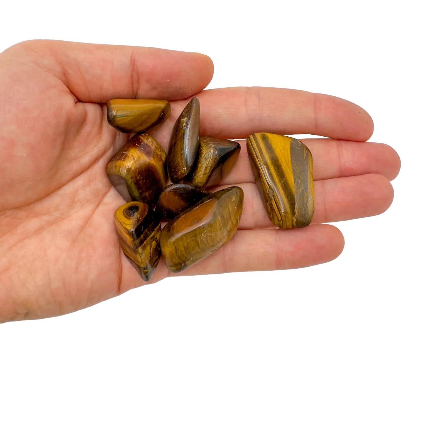 Held in hand is a Tiger Eye tumbled stone, from Northern Cape, South Africa, set to give a sense of weight.