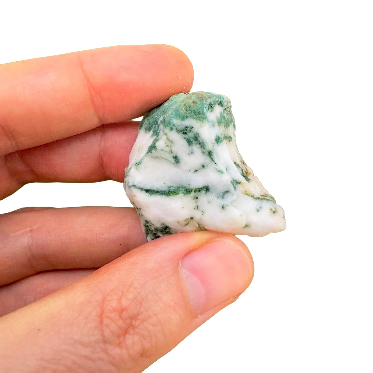 Daylight view of a Tree Agate raw stone often worked with for Healing.