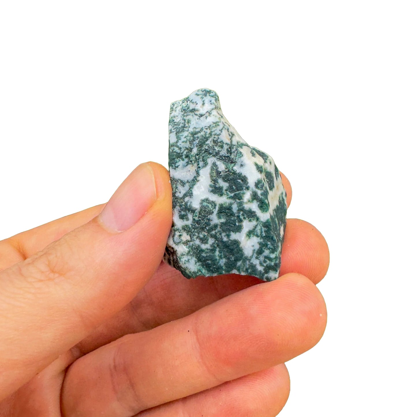 Full piece view of Tree Agate raw crystal, from Central District, Botswana, shown for proportion against the hand.