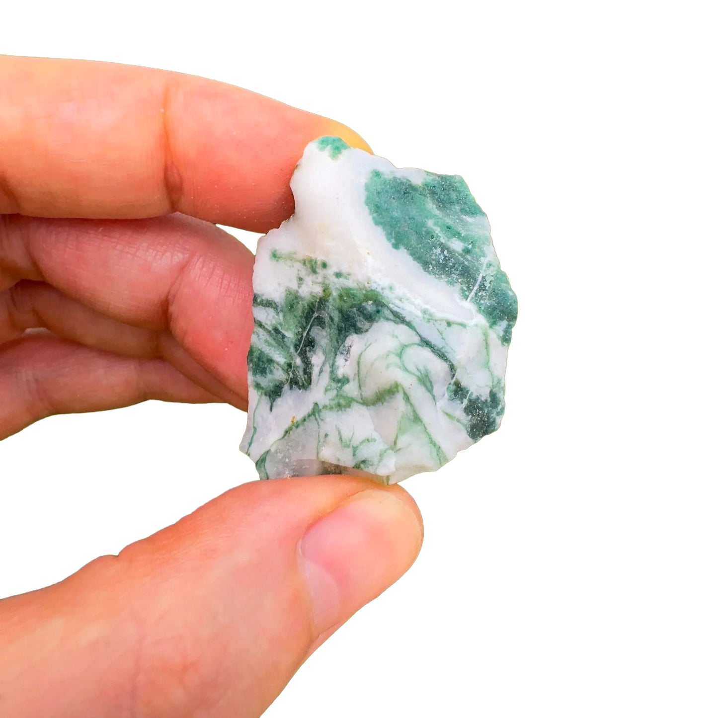 Back view of Grade A Tree Agate raw showing natural surface