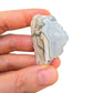 Detail shot of Grade A Tree Agate raw under natural light