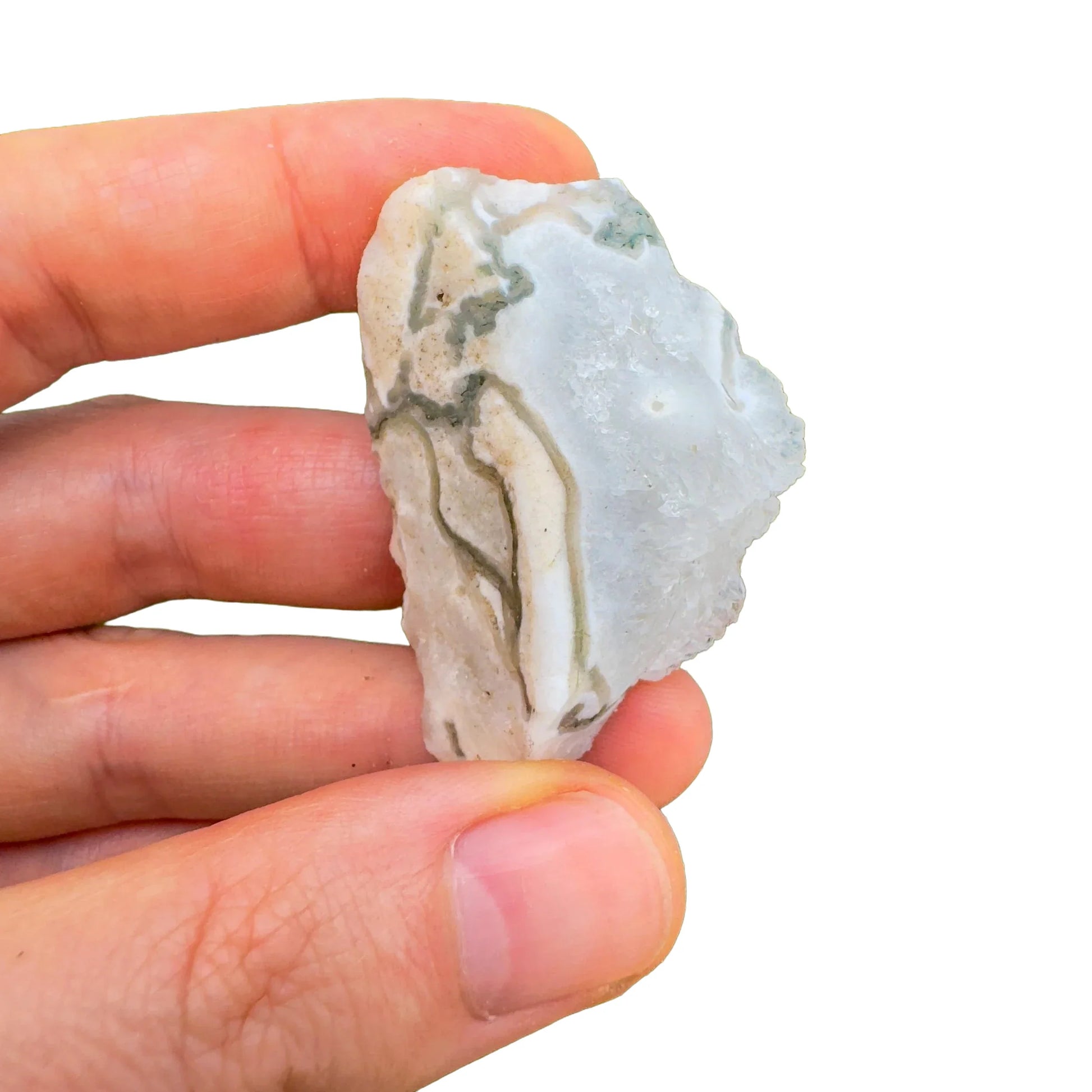 Detail shot of Grade A Tree Agate raw under natural light