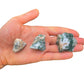 Full profile of Grade A Tree Agate raw ready to ship from Beyond Bohemian