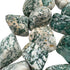 Side-on view of Tree Agate tumbled stone, sourced from Francistown, Botswana.