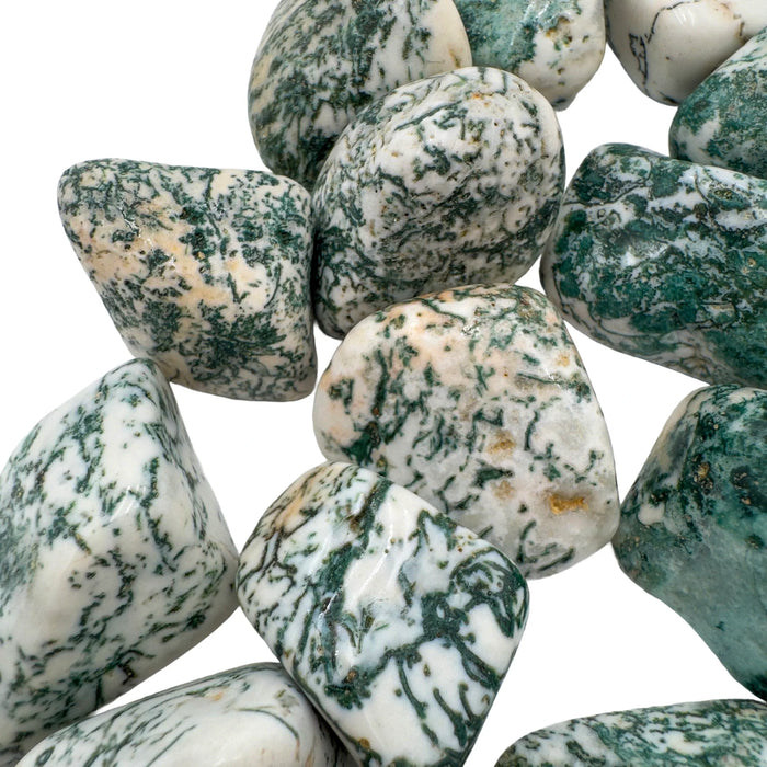 Side-on view of Tree Agate tumbled stone, sourced from Francistown, Botswana.