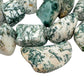 Hand-scale shot of a Tree Agate tumbled stone held against natural backdrop.