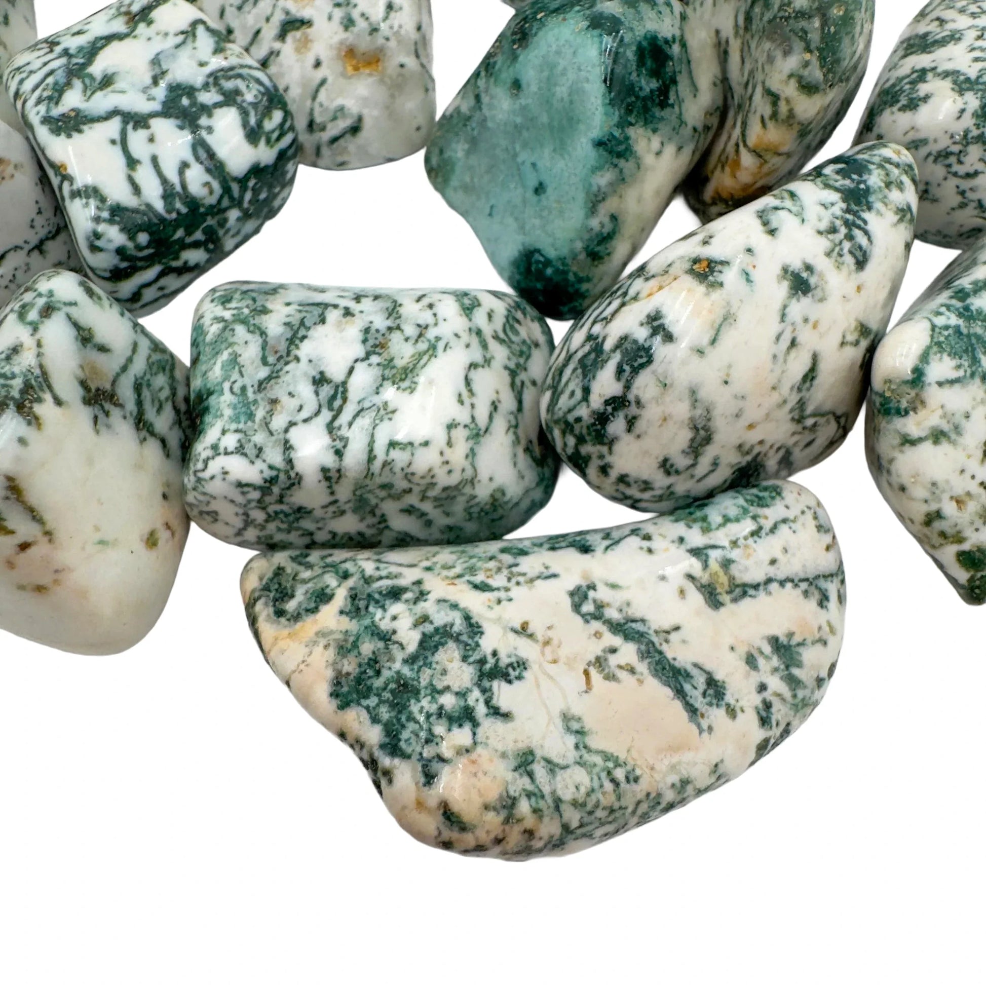 Hand-scale shot of a Tree Agate tumbled stone held against natural backdrop.