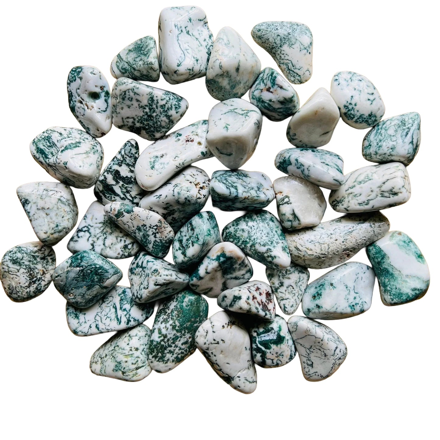Holding a Tree Agate tumbled stone, from Francistown, Botswana, often kept for Grounding, shown in a calm studio setting.