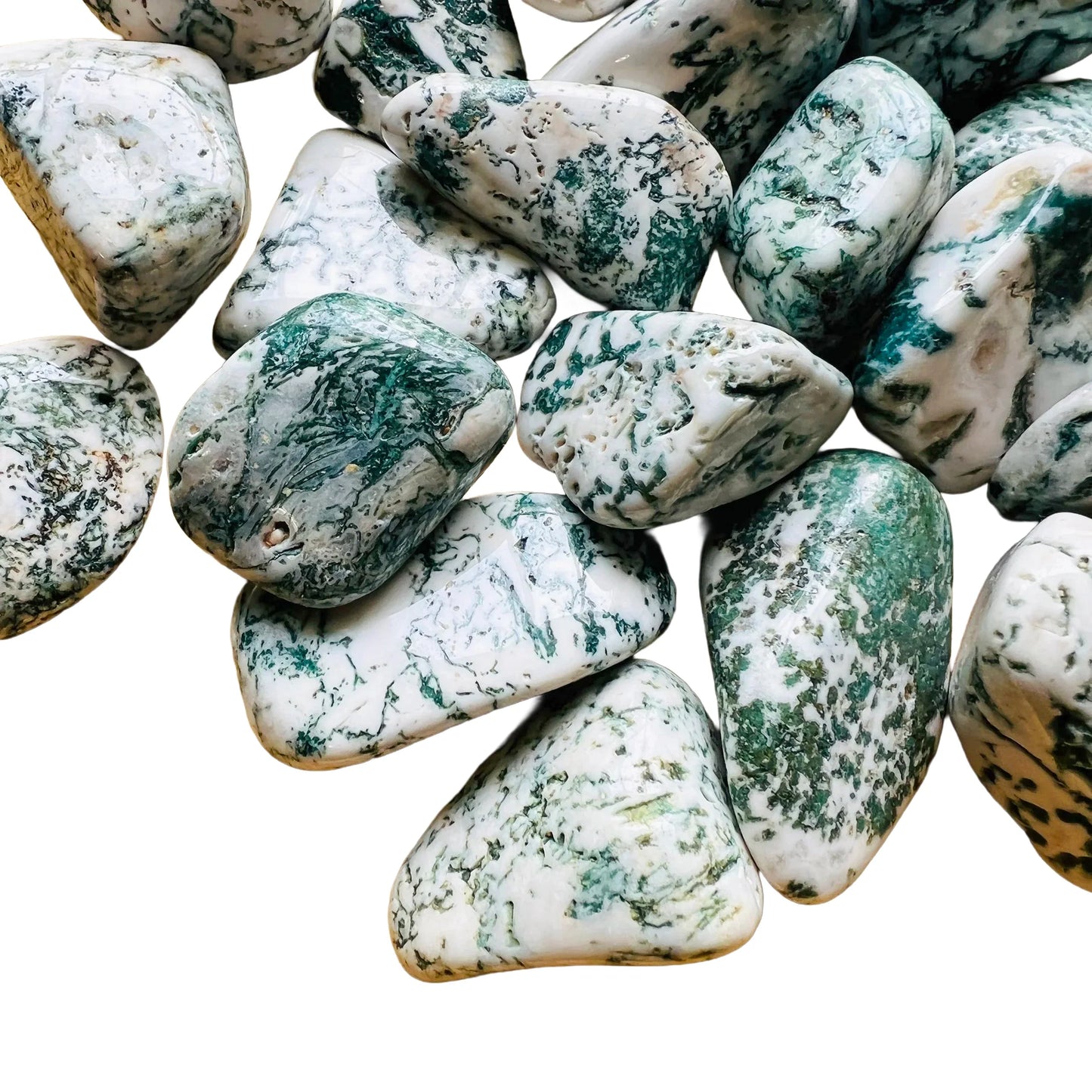 Back view of Grade A Tree Agate tumbled stone showing natural surface