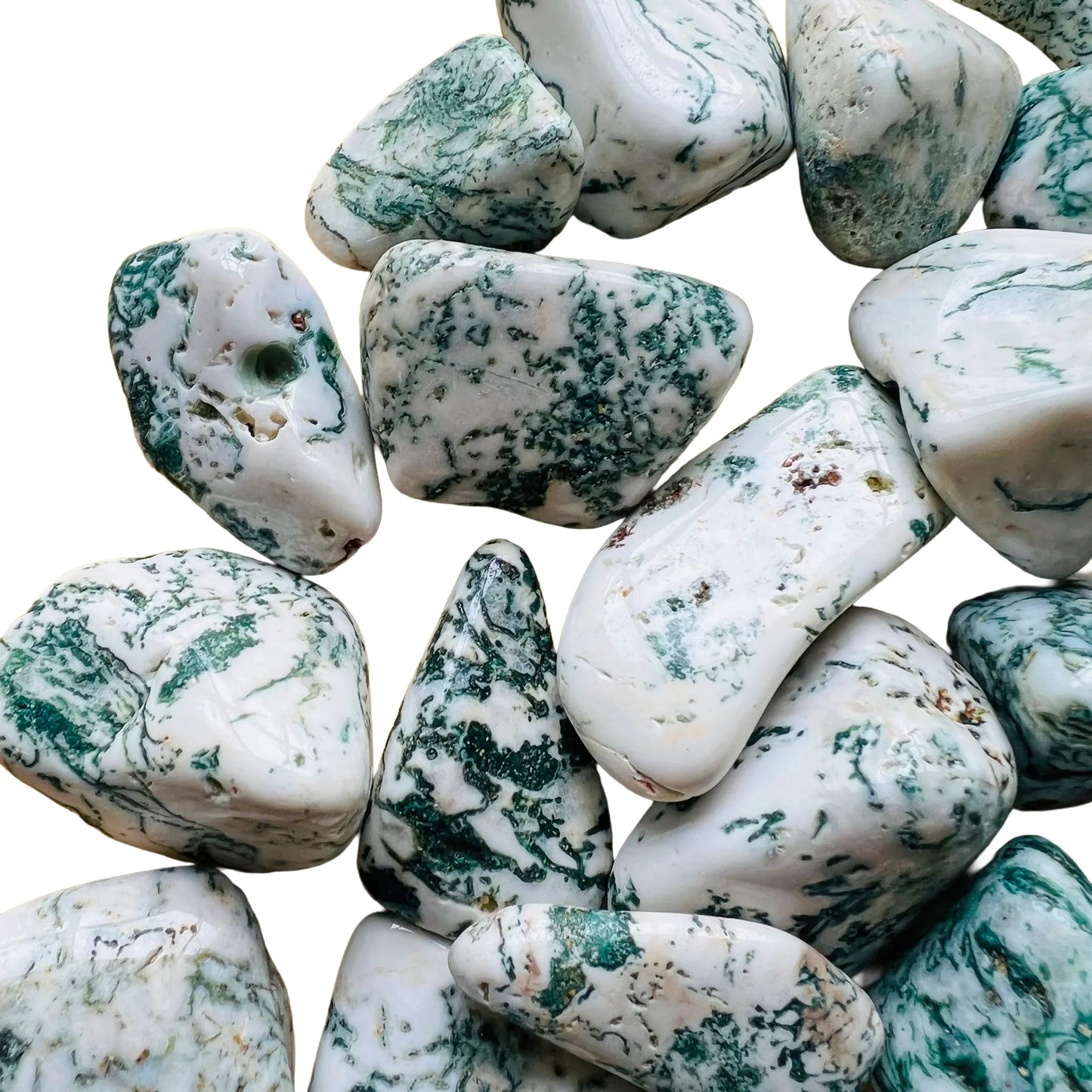 Detail shot of Grade A Tree Agate tumbled stone under natural light