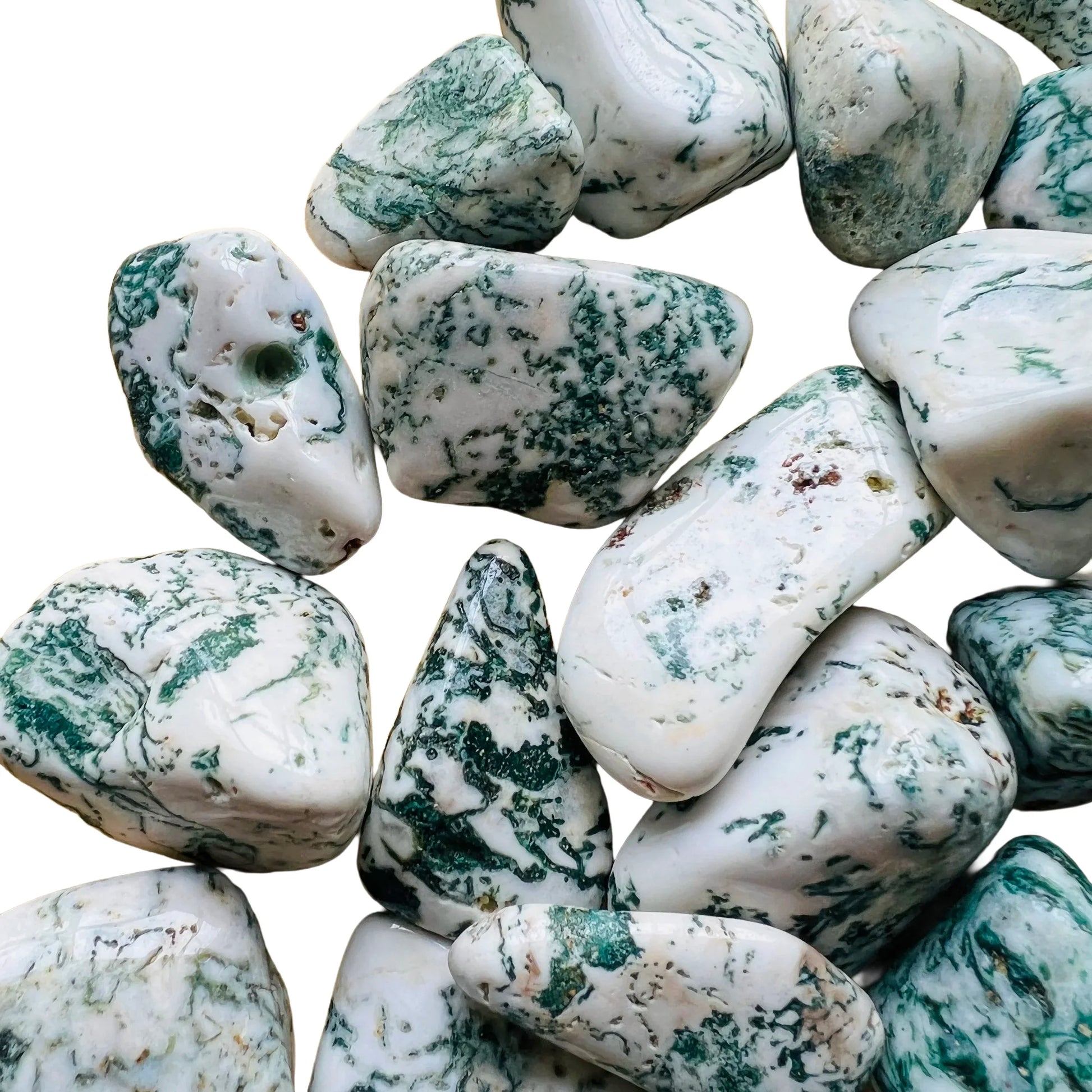 Detail shot of Grade A Tree Agate tumbled stone under natural light