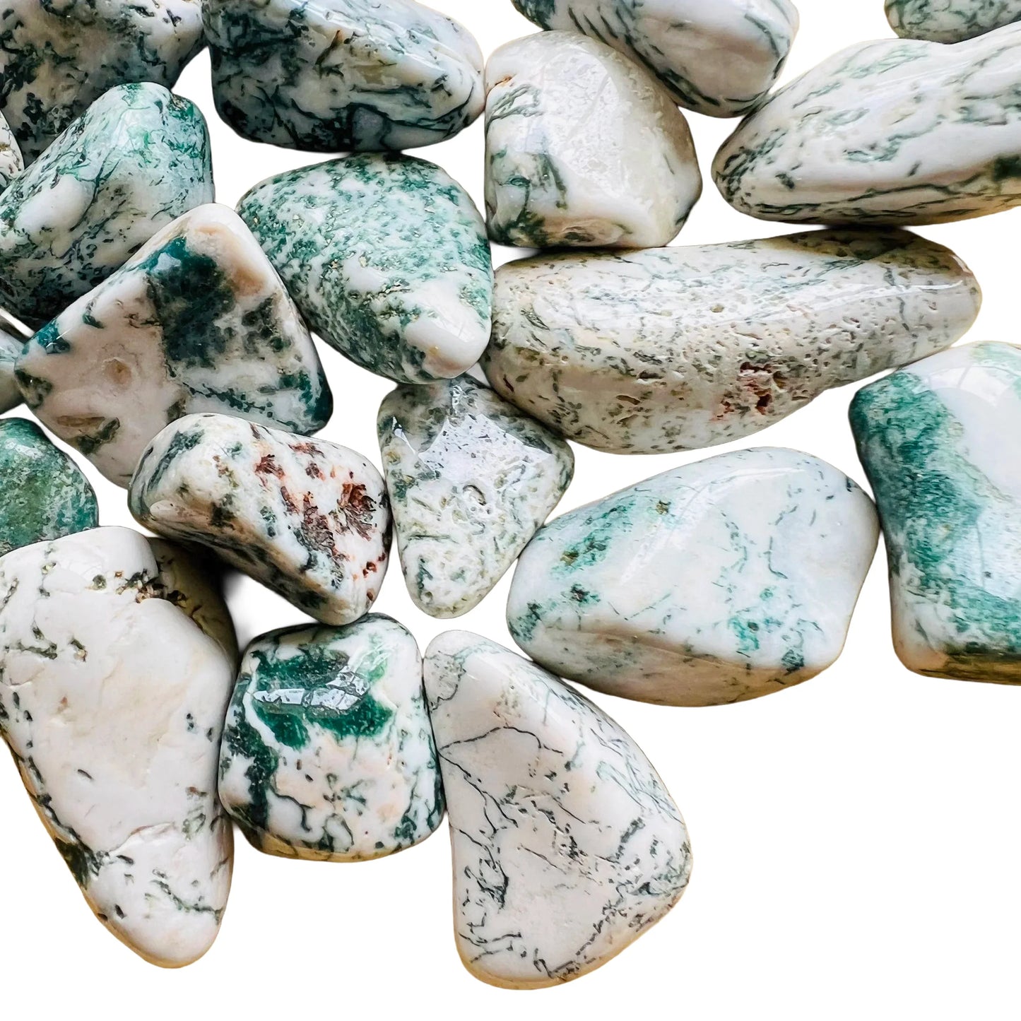 Full profile of Grade A Tree Agate tumbled stone ready to ship from Beyond Bohemian