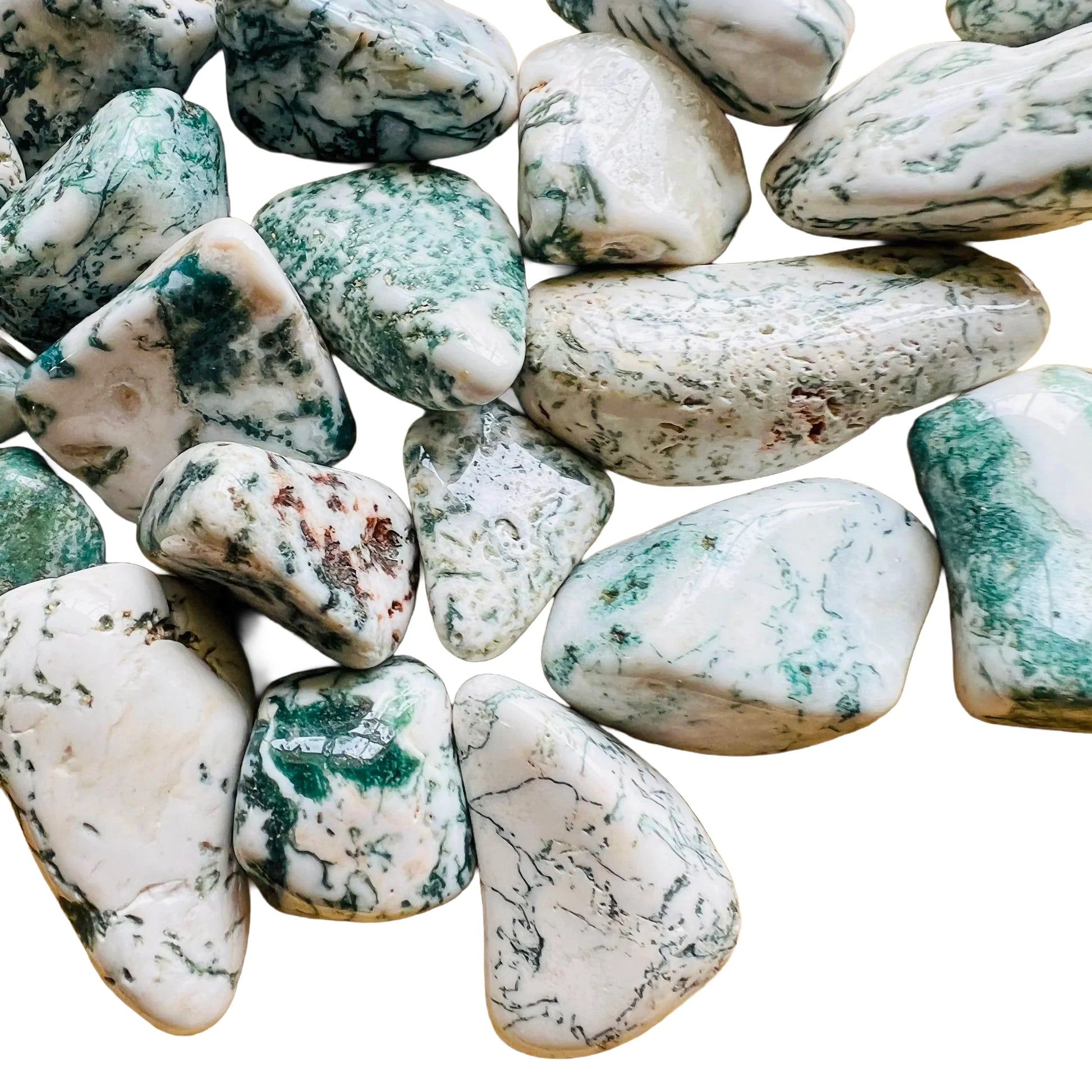 Full profile of Grade A Tree Agate tumbled stone ready to ship from Beyond Bohemian