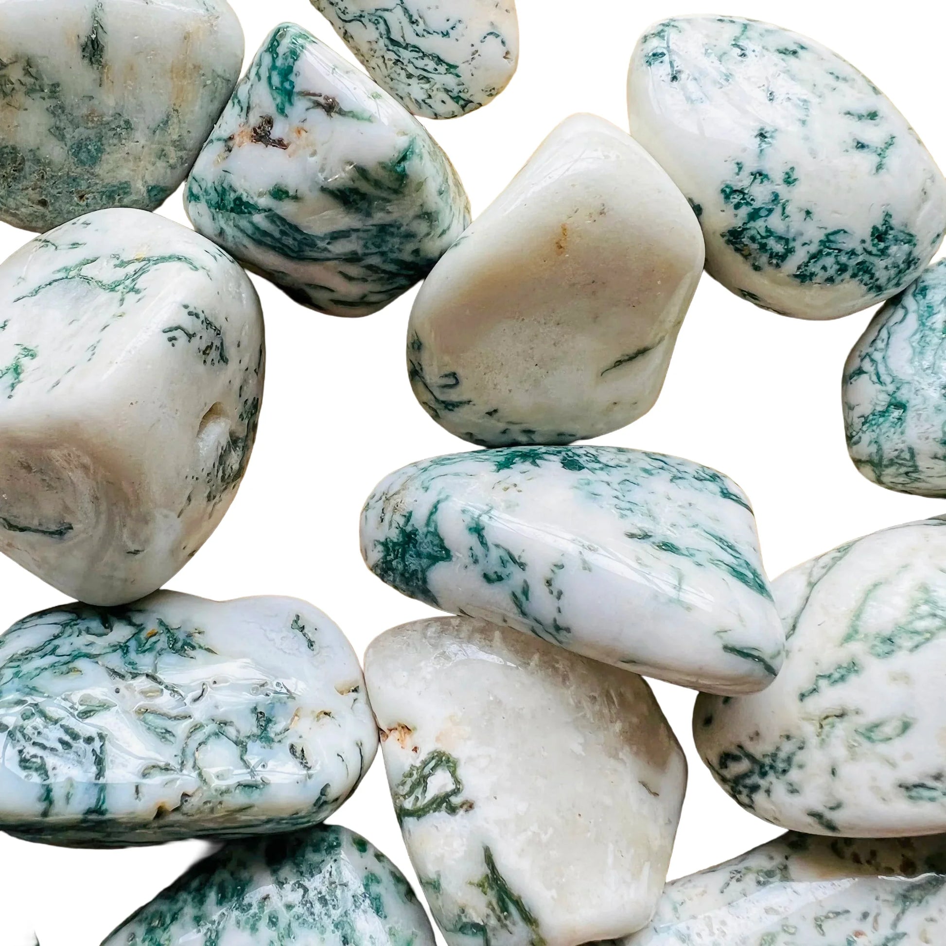 Full profile of Grade A Tree Agate tumbled stone ready to ship from Beyond Bohemian